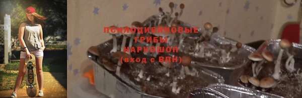 соль курить ск Балахна