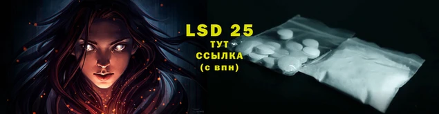шишки Балабаново