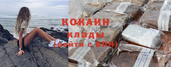 шишки Балабаново