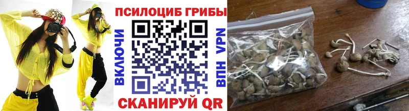 цена   Тара  Псилоцибиновые грибы Psilocybe 